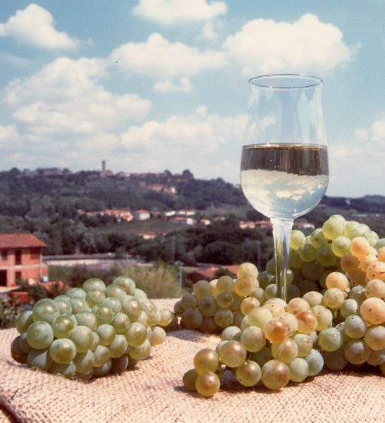 MONTECARLO_PANORAMA-CON-VINO-E-UVA_LIB_Comune-2-aspect-ratio-689-444